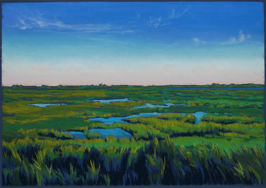 marshes